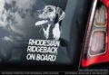 Rhodesian Ridgeback 1 Hondensticker voor op de auto Per Stuk