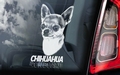 Chihuahua 3 Hondensticker voor op de auto Per Stuk