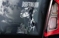Dobermann 2 Hondensticker voor op de auto Per Stuk
