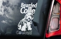 Bearded Collie 1 Hondensticker voor op de auto Per Stuk