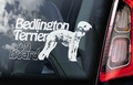 Bedlington Terrier 1 Hondensticker voor op de auto Per Stuk
