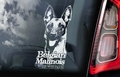Belgian Malinois 10 Hondensticker voor op de auto Per Stuk